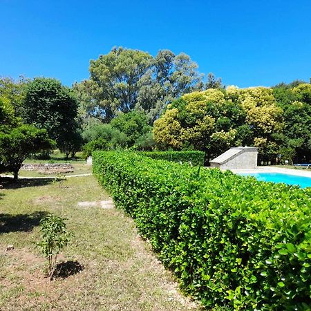 Lemontree Apartments カシオピ エクステリア 写真
