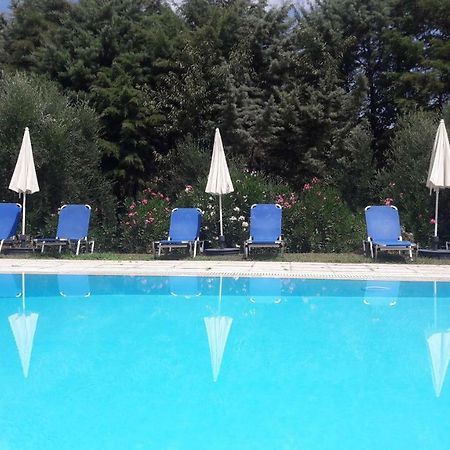 Lemontree Apartments カシオピ エクステリア 写真