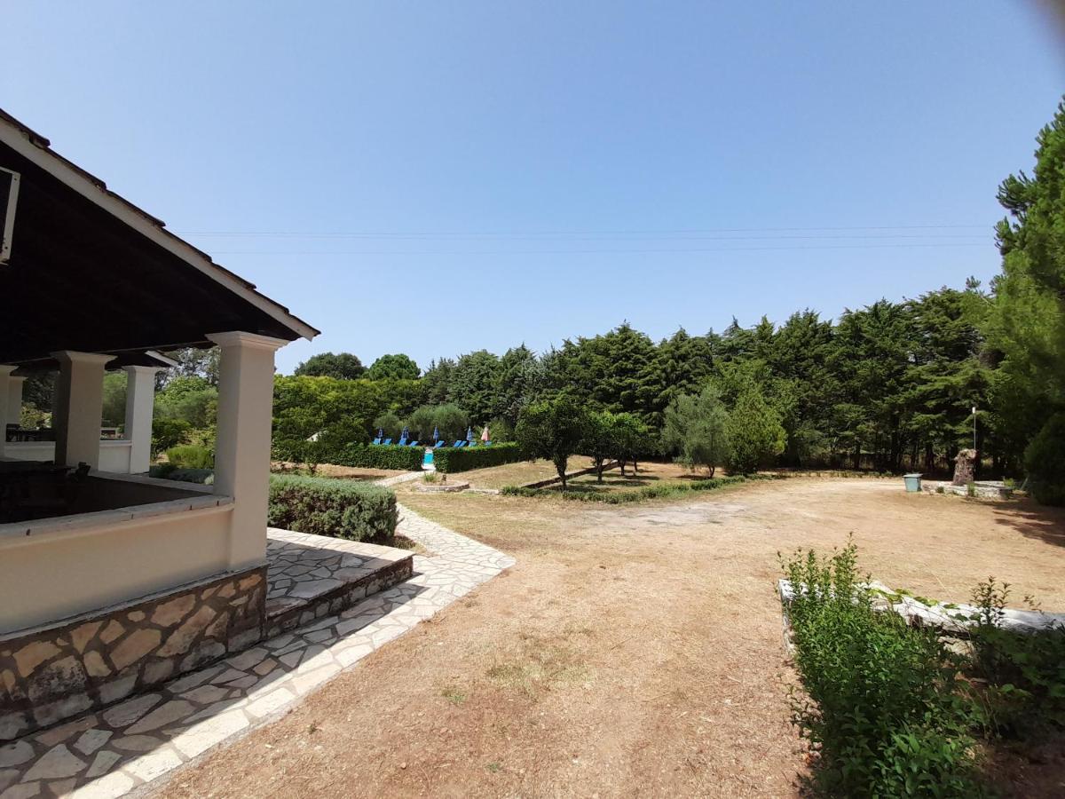 Lemontree Apartments カシオピ エクステリア 写真