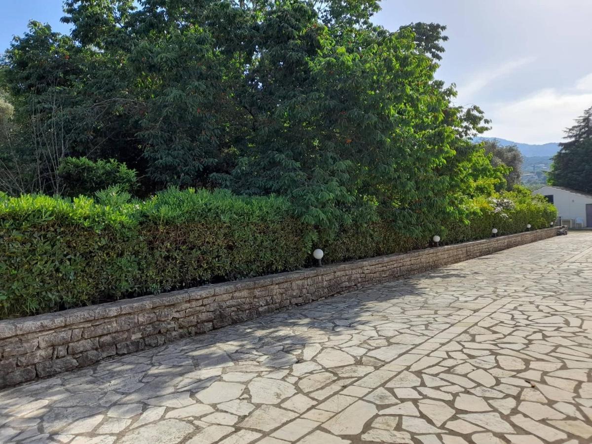 Lemontree Apartments カシオピ エクステリア 写真