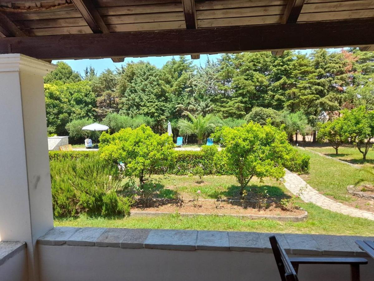 Lemontree Apartments カシオピ エクステリア 写真