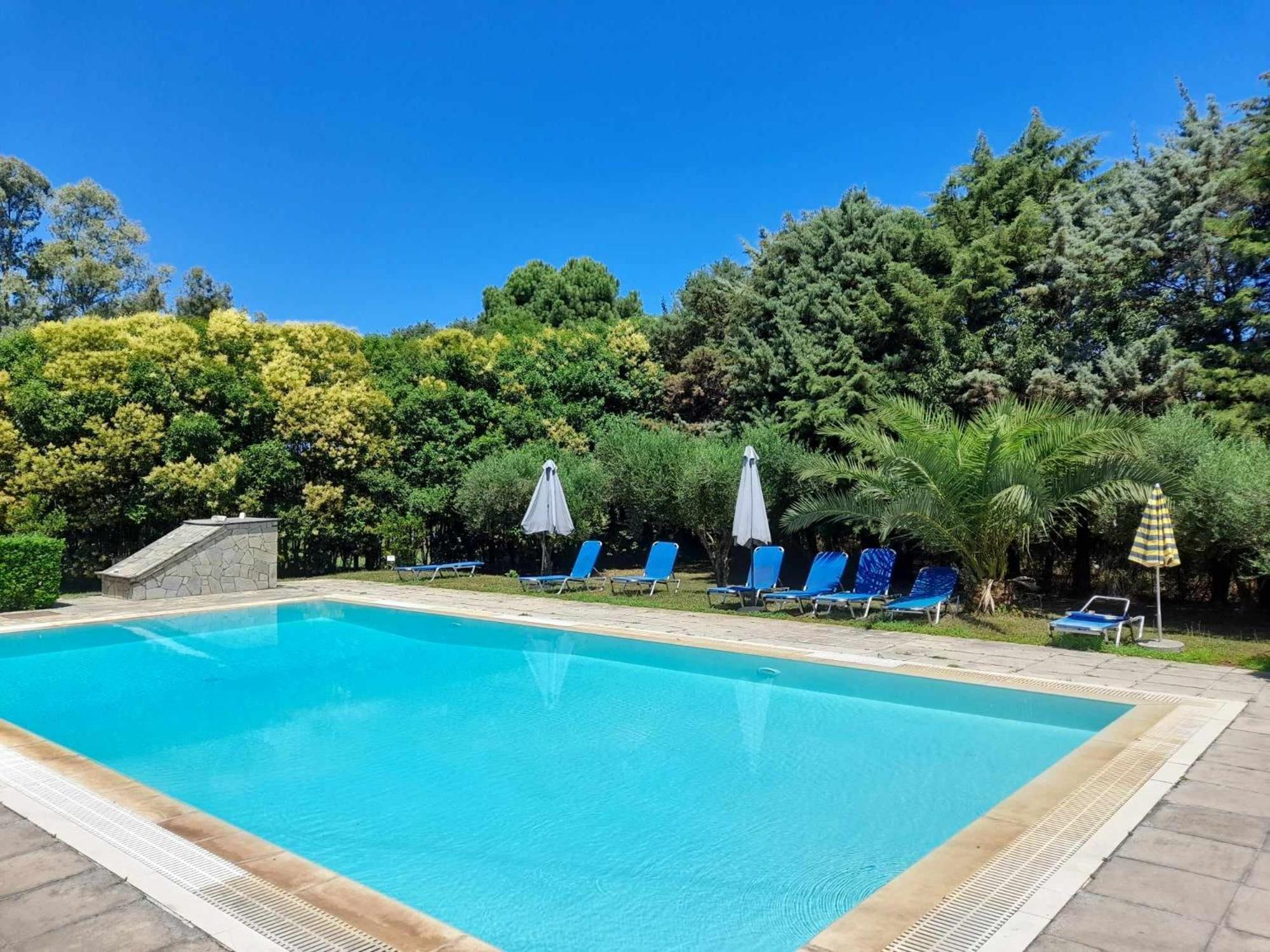 Lemontree Apartments カシオピ エクステリア 写真